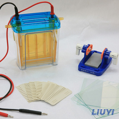 北京六一DYCZ-24EN雙垂直電泳儀(中號(hào))蛋白電泳儀