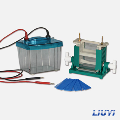 北京六一DYCZ-25D雙垂直電泳儀蛋白電泳儀